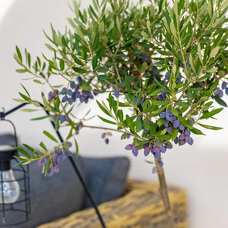 Bliss / Your Perfect Away From 公寓 *