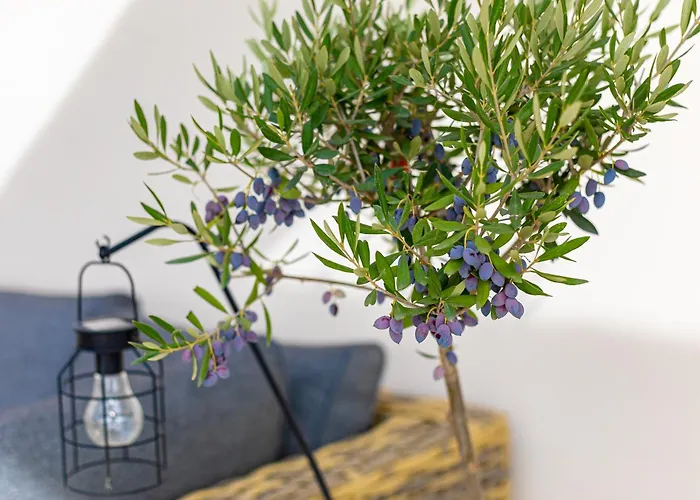 Bliss / Your Perfect Away From Apartman *